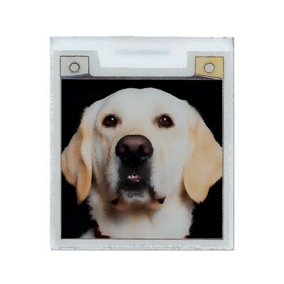 Good price 1.54 Inch E Paper Display 200×200 Resolution 24pin Ultra Low Power E Ink Display online