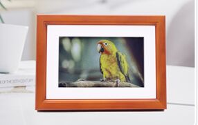 Bom preço YZY 7,3 polegadas Smart Digital Photo Frame com E Ink Spectra 6 Full Color Display e baixo consumo de energia para publicidade interna on-line