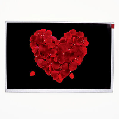 Good price BOE YVO101WXM L03 10.1 Inch TFT LCD Module with 1280x800 Resolution and 400 Nits Brightness Slim Display online