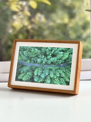 Bon prix 10.1 pouce 1280×800 WIFI cadre photo numérique avec écran tactile et album photo intelligent en ligne