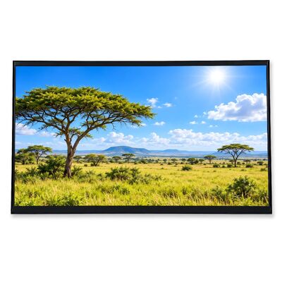 Good price 14 Inch 600 Nits FHD Laptop LCD Screen with 1920x1080 Resolution and 30 Pin eDP Interface online